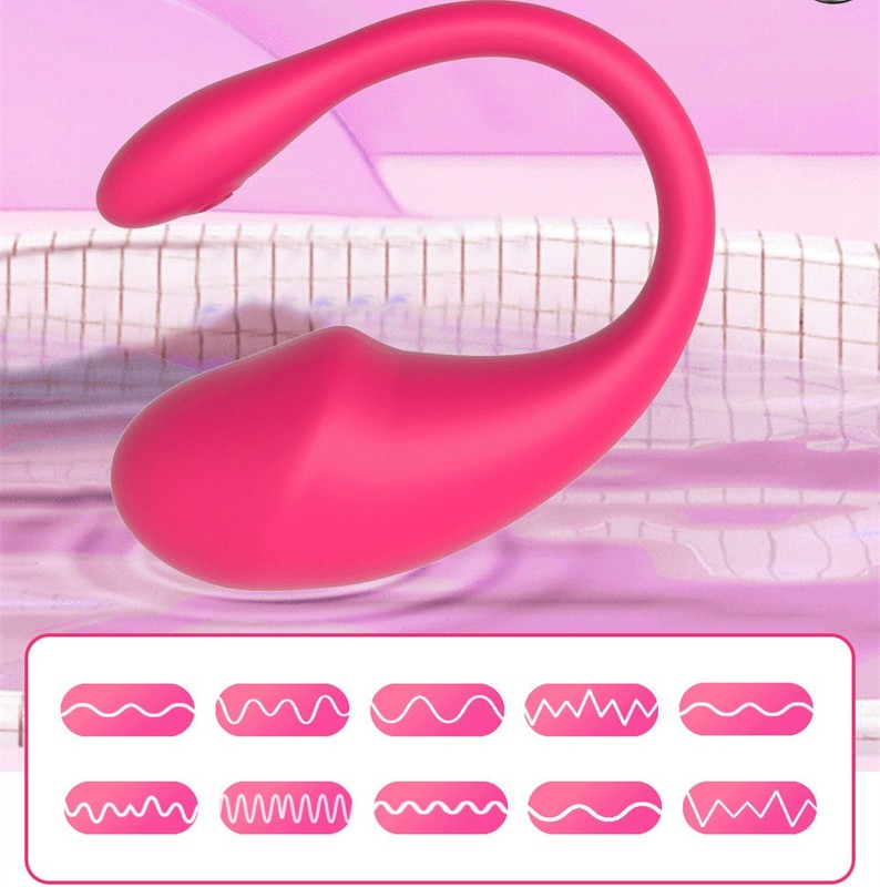10 Speed Remote Egg Bullet Vibrator G spot Massager Sex Toys Women USB Charger