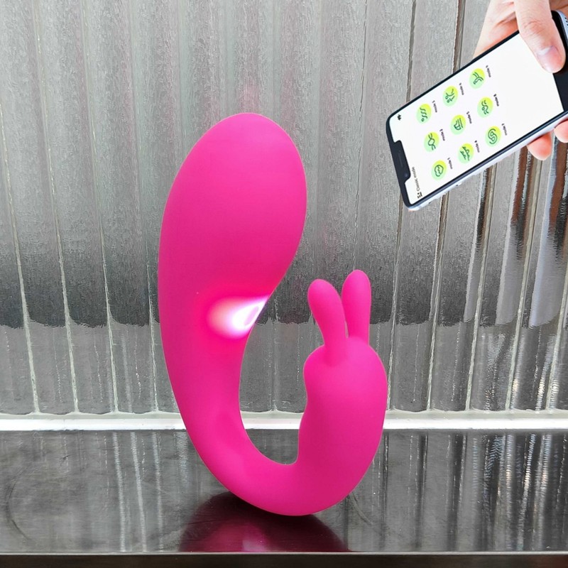 Rabbit Vibrator Bullet Egg App Control Wearable 9 Modes G-Spot Massager Sex Toys