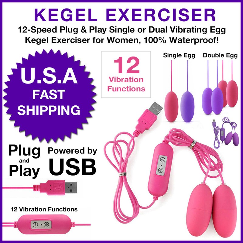 USB Powered Vibrating Double Dual Eggs Bullet Vibes Vibrator Women Sex Toy USA