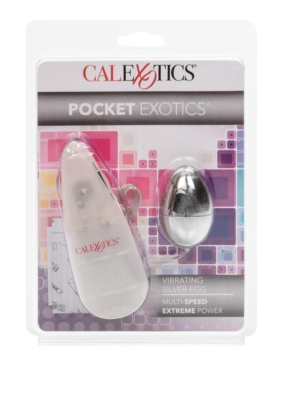 CAL EXOTICS Pocket Exotics Vibrating Silver Egg with Wired Remote Control