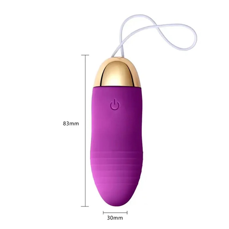 Remote Control Rechargeable Wearable Love Egg Vibrator 10 Speed Sex Toy Women gallery