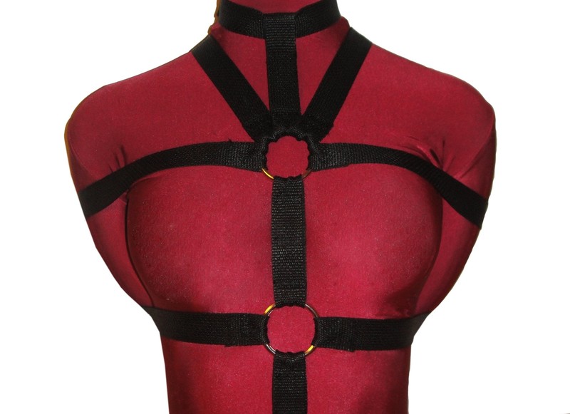 Five-Point Poly Webbing Bondage Harness with Collar (Poly Webbing) gallery