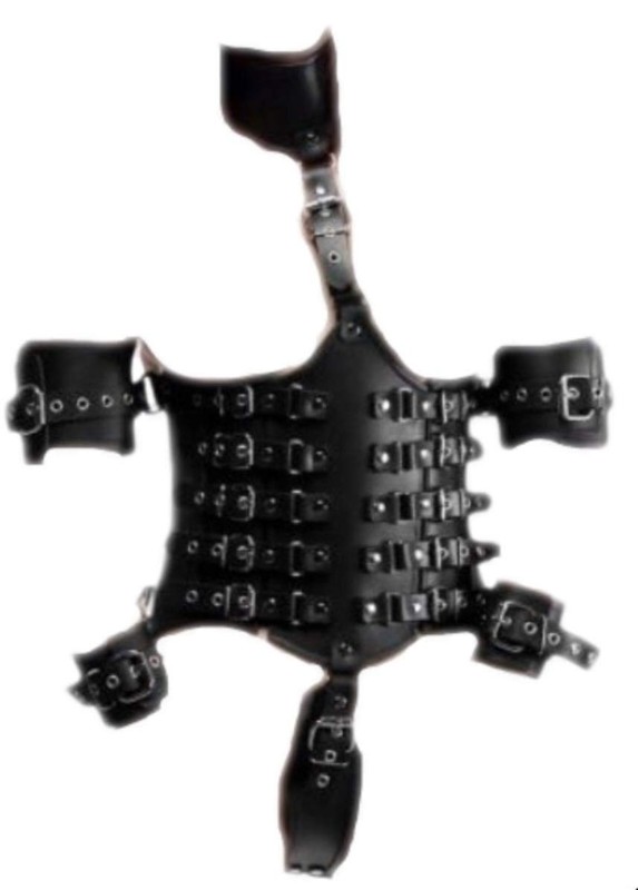 Strict Leather Ultimate Lockdown Female Waist Cincher