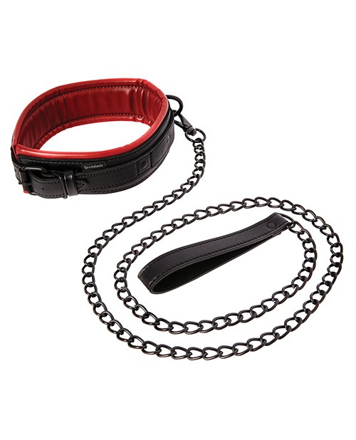 Saffron Leash & Collar gallery