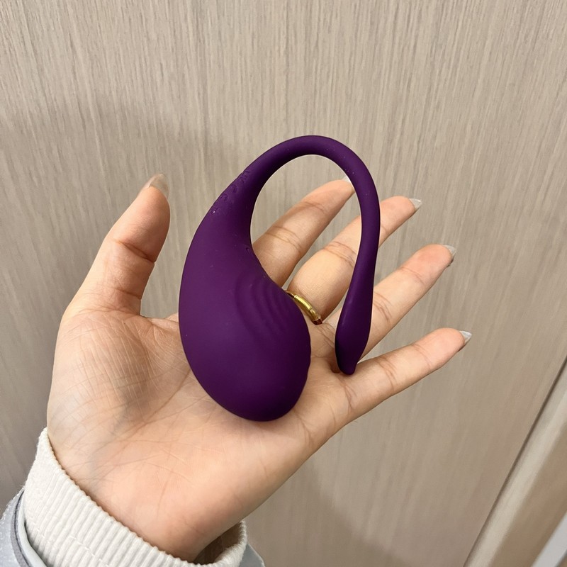 9 Vibration App Control Vibrating Egg G Spot Clitoral Stimulator Wand Sex Toy US