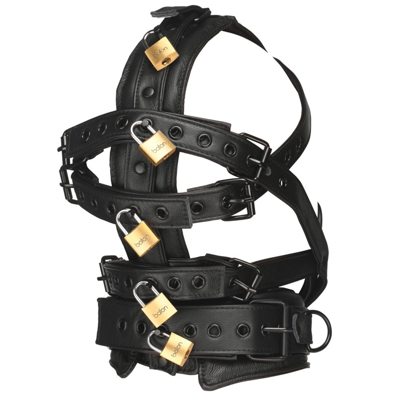 Master Series Leather Head Harness with Muzzle gallery