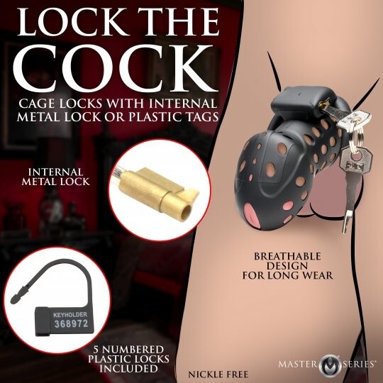 Lock Down Chastity Cage gallery