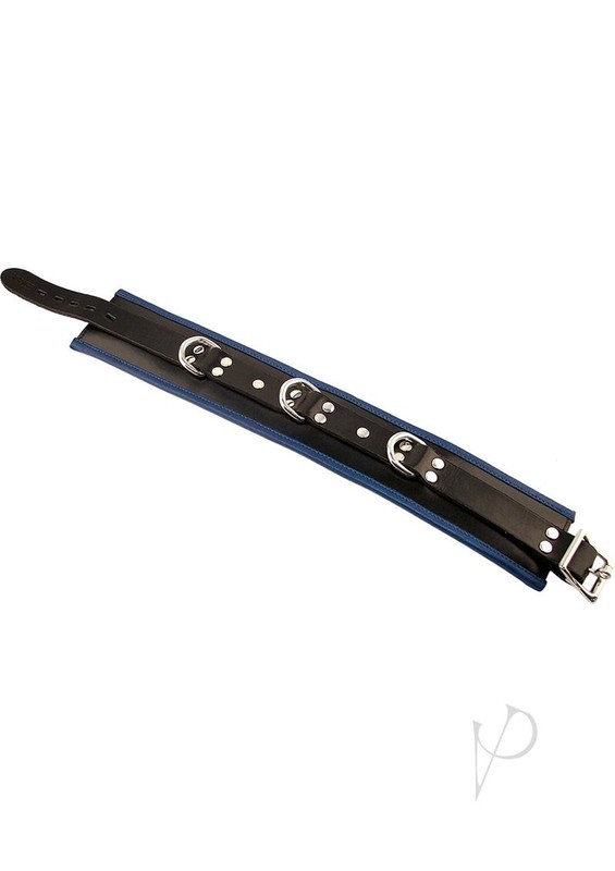 Rouge 3 D-Ring Padded Leather Adjustable Collar – Black And Blue