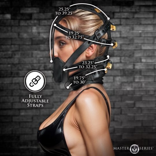 Lockable Head Harness with Muzzle gallery